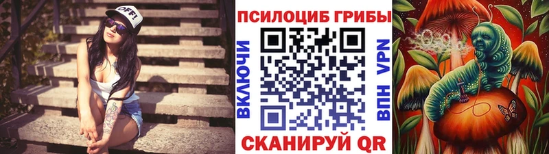 Галлюциногенные грибы мицелий  Любим 